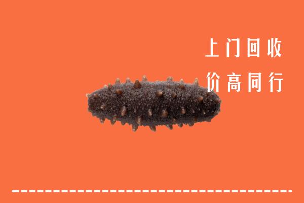 高价求购：抚州市崇仁回收海参