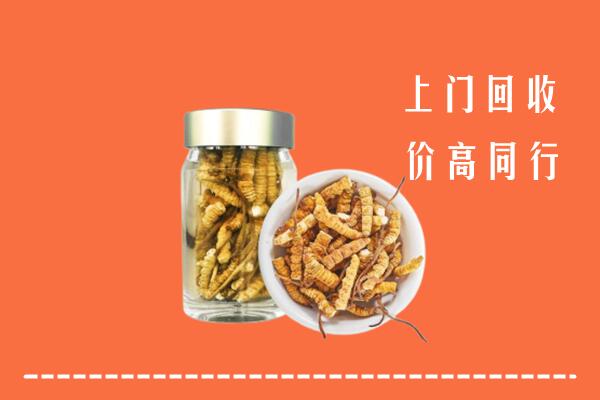 抚州市崇仁回收冬虫夏草