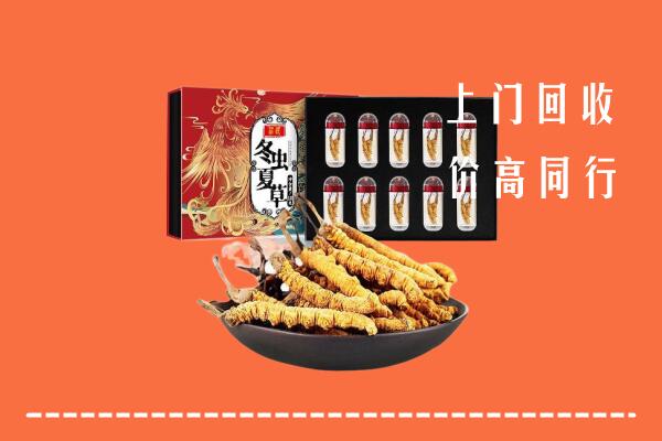 抚州市崇仁回收虫草